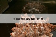 土耳其击落俄军战机飞行员