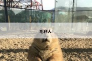 毛利人 