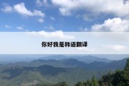 你好我是韩语翻译