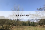 蒙古族简介图片