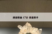 藏语歌曲《飞》我是歌手 