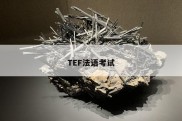 TEF法语考试