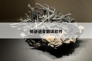 俄语语音翻译软件