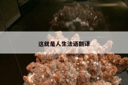 这就是人生法语翻译