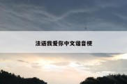 法语我爱你中文谐音梗