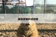藏语祝福的话结婚