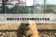 美丽的小桃子意大利语翻译怎么写出来
