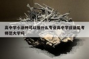 高中学小语种可以报什么专业高中学日语能考师范大学吗