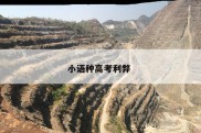 小语种高考利弊 