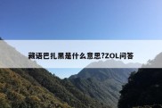 藏语巴扎黑是什么意思?ZOL问答