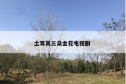 土耳其三朵金花电视剧 