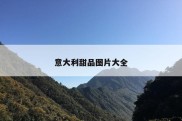 意大利甜品图片大全