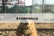 意大利语中国怎么说