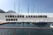 中文翻译土耳其语  土耳其语在线翻译器  智能翻译官