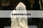 蒙语额休特是什么意思 