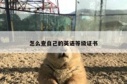 怎么查自己的英语等级证书