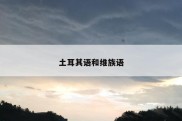 土耳其语和维族语