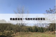 歌曲里面有一句西班牙语我爱你 