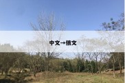 中文→俄文