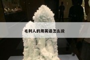 毛利人的用英语怎么说 