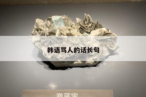 韩语骂人的话长句