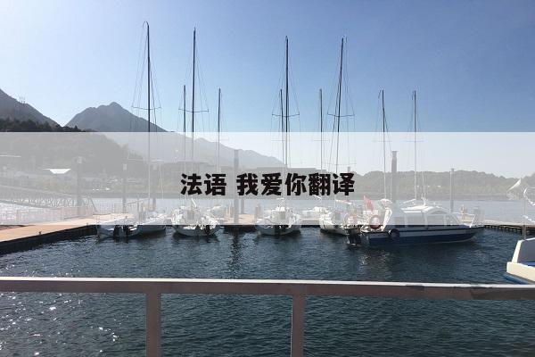 法语 我爱你翻译