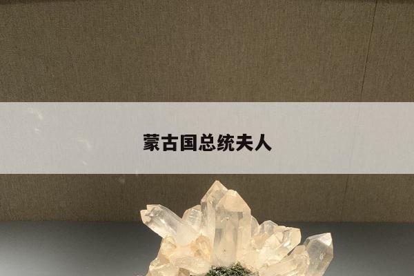 蒙古国总统夫人