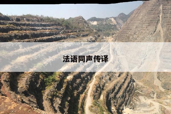 法语同声传译