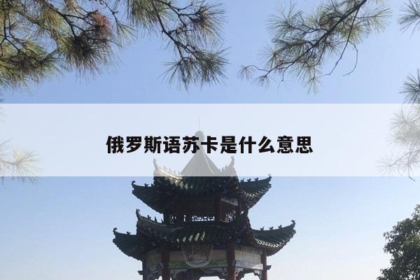 俄罗斯语苏卡是什么意思