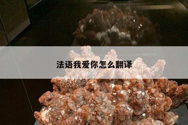法语我爱你怎么翻译
