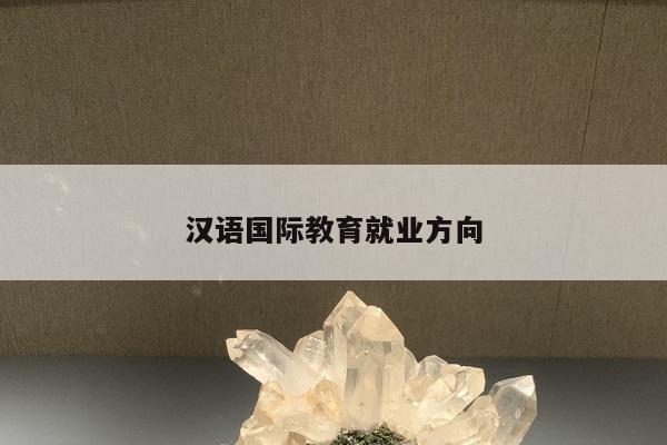 汉语国际教育就业方向