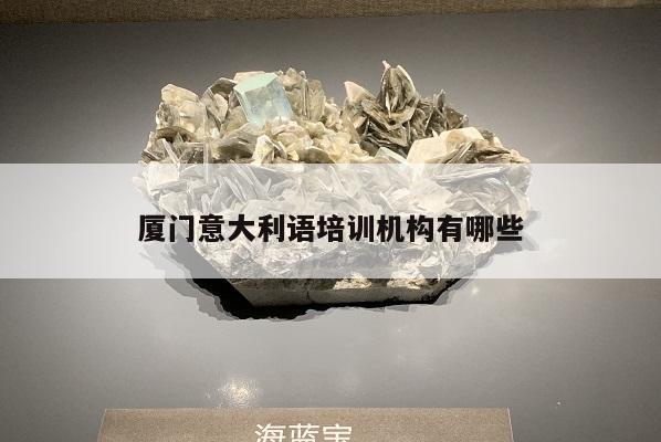 厦门意大利语培训机构有哪些